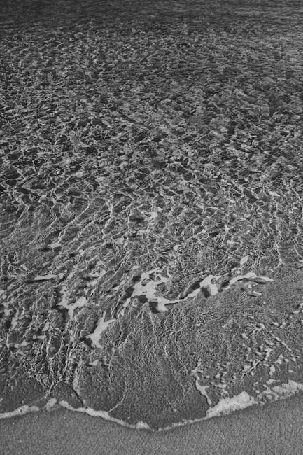 Okyanus dalgalarının kumlu kıyıya nazikçe vurduğu huzurlu siyah beyaz bir görüntü.