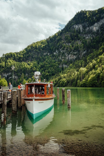 abstract, açık hava, ağaç içeren Ücretsiz stok fotoğraf