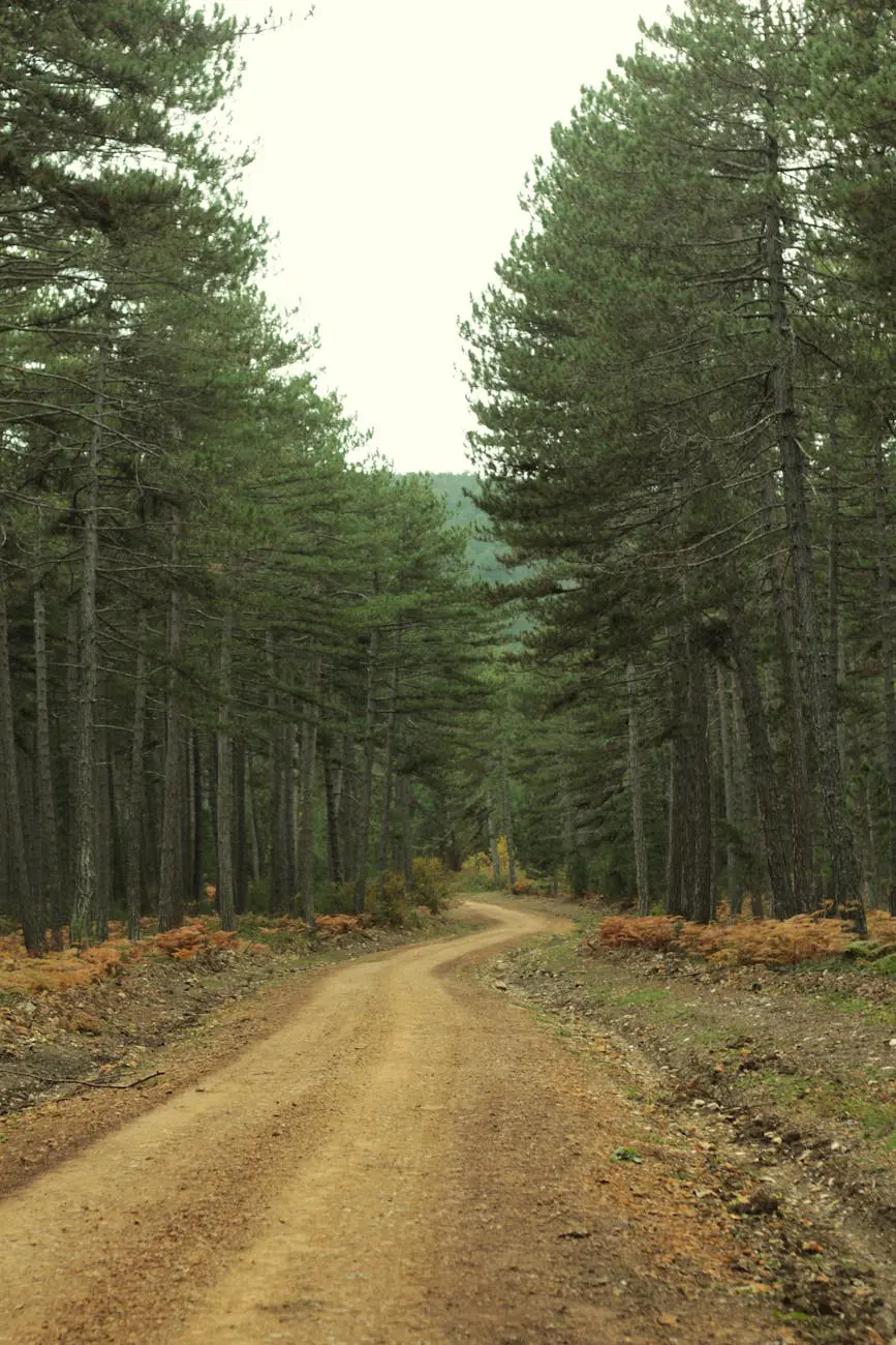 OKR framework and goal setting for teams and organizations