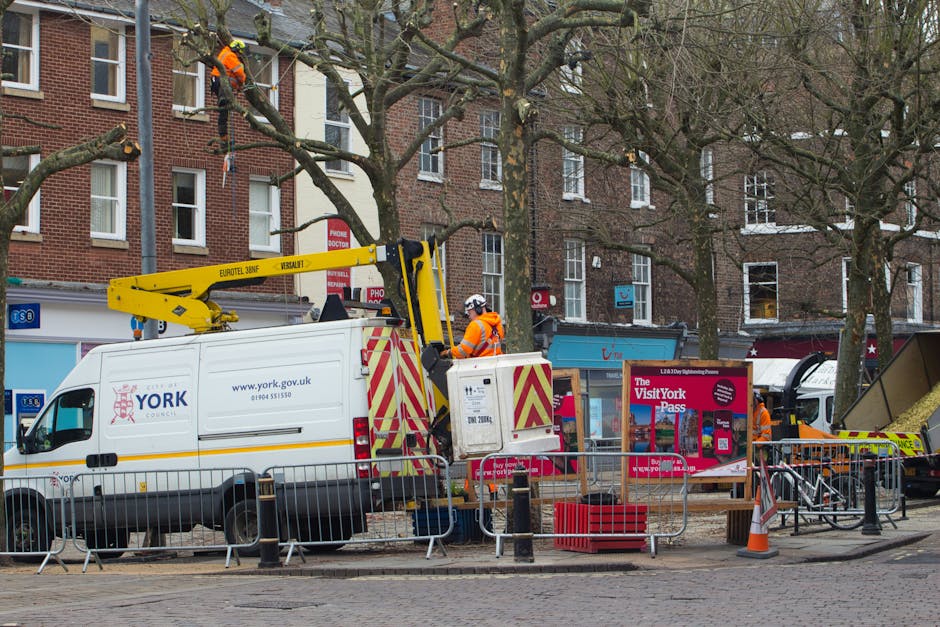 York şehir merkezinde ağaç bakımı çalışmaları ve ekipmanlarının görüntüsü.