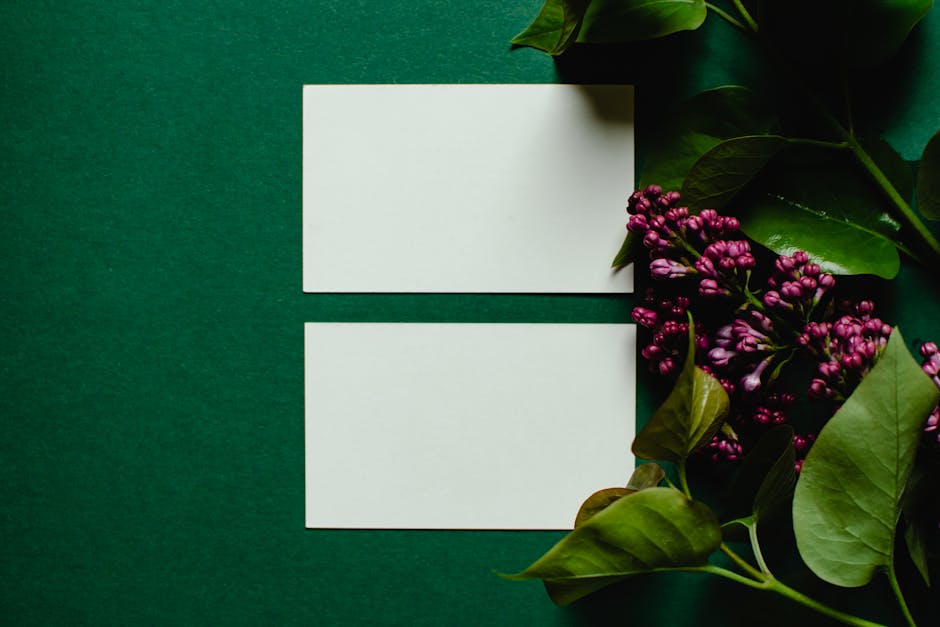 beyaz kağıt, Çiçekler, düz yüzey içeren Ücretsiz stok fotoğraf