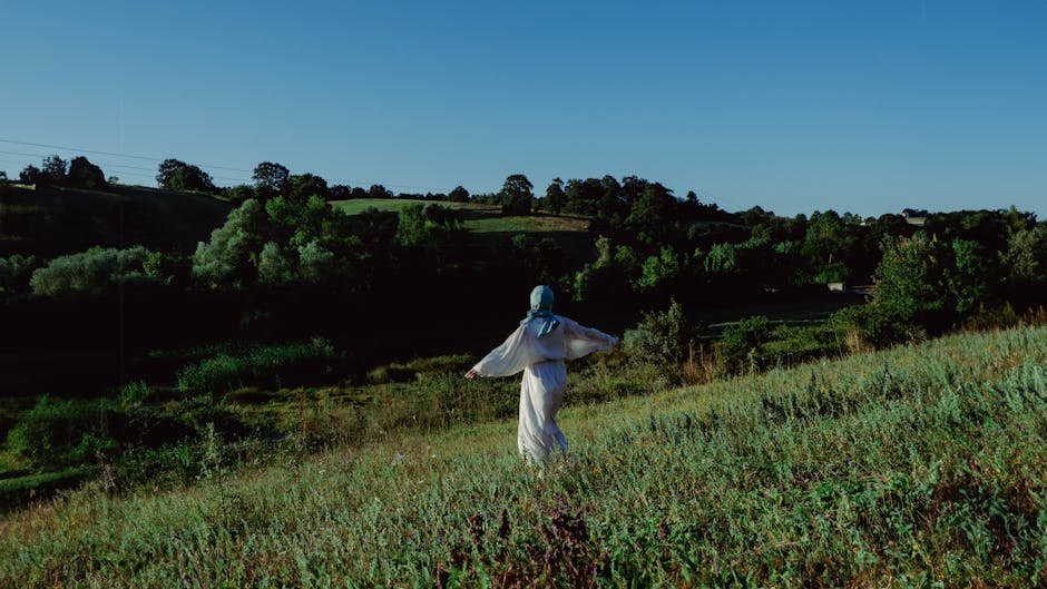 açık hava, açık mavi gökyüzü, açık yeşil renkli içeren Ücretsiz stok fotoğraf