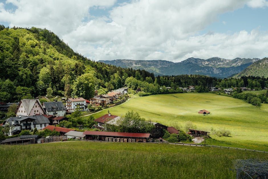 abstract, açık hava, ağaçlar içeren Ücretsiz stok fotoğraf