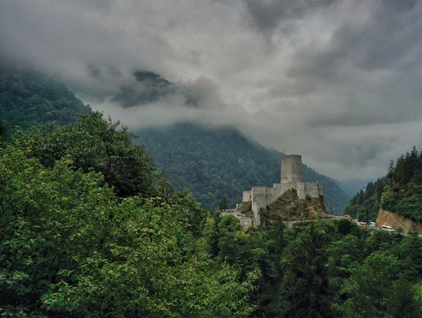 açık hava, ağaç, Asya içeren Ücretsiz stok fotoğraf