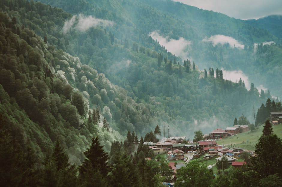 Yemyeşil dağların arasında büyüleyici bir köyün bulunduğu yemyeşil ve sisli bir vadi.