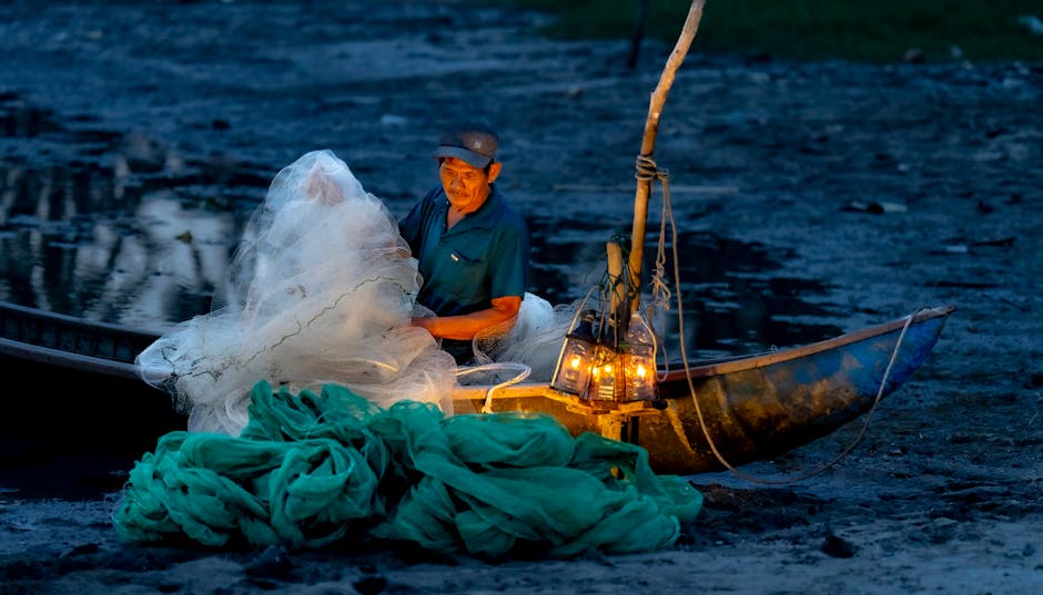 açık hava, adam, ağ içeren Ücretsiz stok fotoğraf