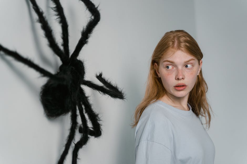 #kapalı, acı çekmek, arachnophobia içeren Ücretsiz stok fotoğraf