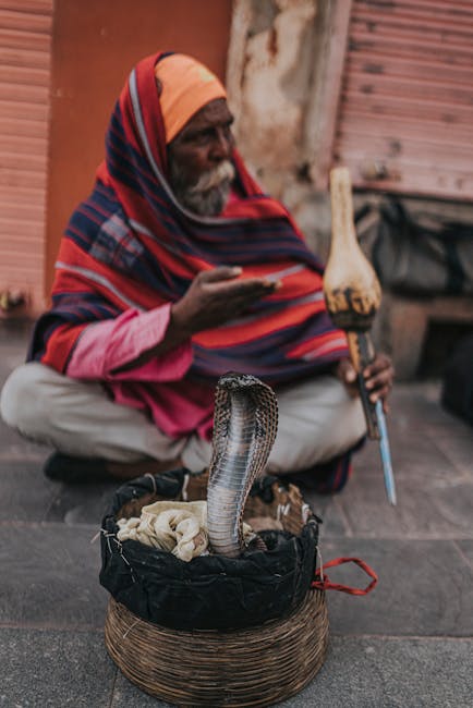 açık hava, adam, ancient tradition içeren Ücretsiz stok fotoğraf