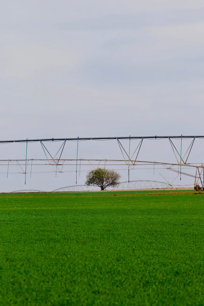 Open landscape with a single tree representing strategic direction change and startup pivoting
