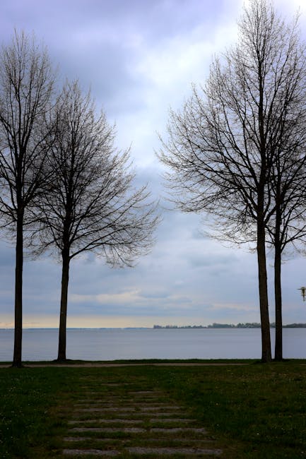 Almanya'nın Stralsund kentinde bulutlu gökyüzünün önünde çıplak ağaçların bulunduğu bir göl kenarının sakin manzarası.
