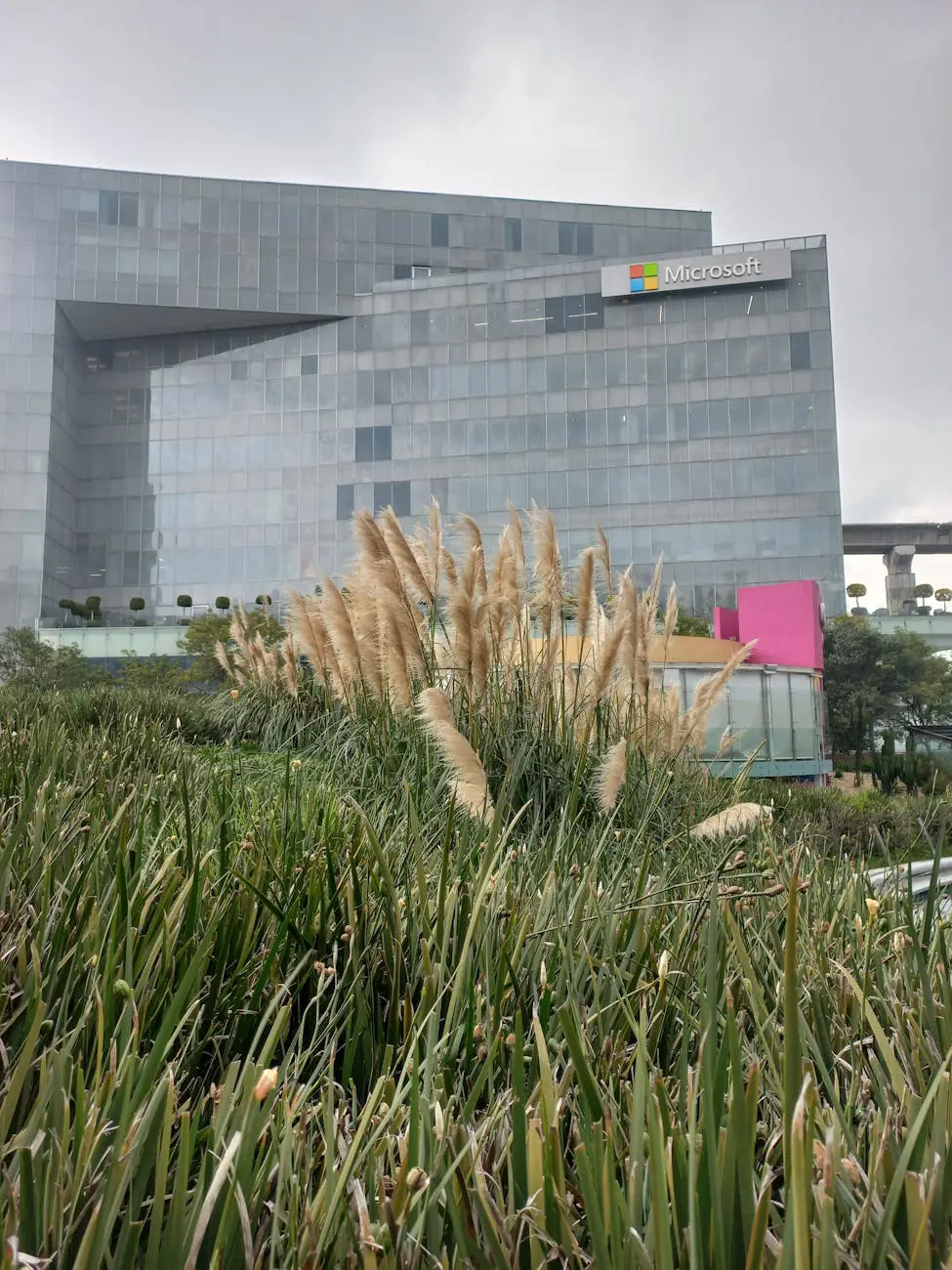 Microsoft Copilot AI assistant - using artificial intelligence in daily life