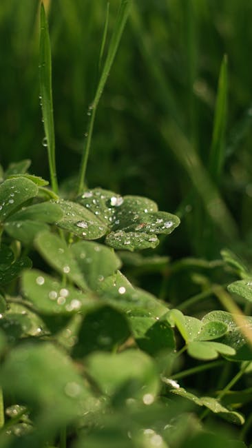 abstract, açık, açık hava içeren Ücretsiz stok fotoğraf