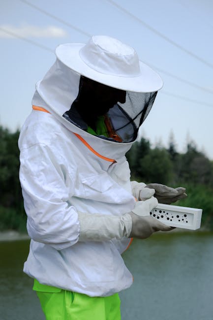 Türkiye'de bir nehrin kenarında arılarıyla ilgilenen koruyucu kıyafetli bir arıcı.