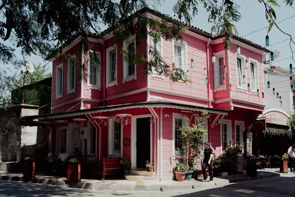 açık hava, açık oturma, ağaç içeren Ücretsiz stok fotoğraf