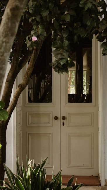 açık sahne, ağaç, Ağaç dalları içeren Ücretsiz stok fotoğraf