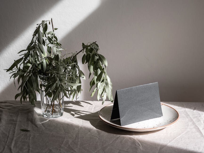 bitki, kâğıt, kart içeren Ücretsiz stok fotoğraf