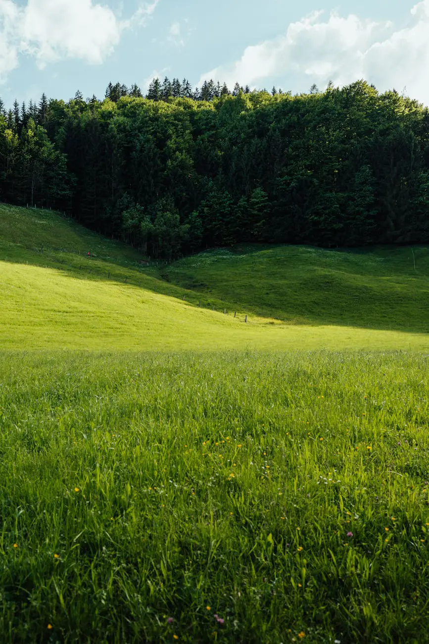 Abstract visual representing the intersection of fashion and technology