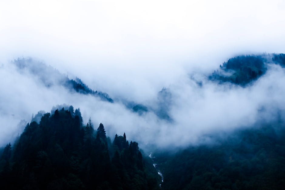 Türkiye, Rize'de sisle kaplı büyüleyici sisli dağlar. Huzurlu bir doğa manzarası.