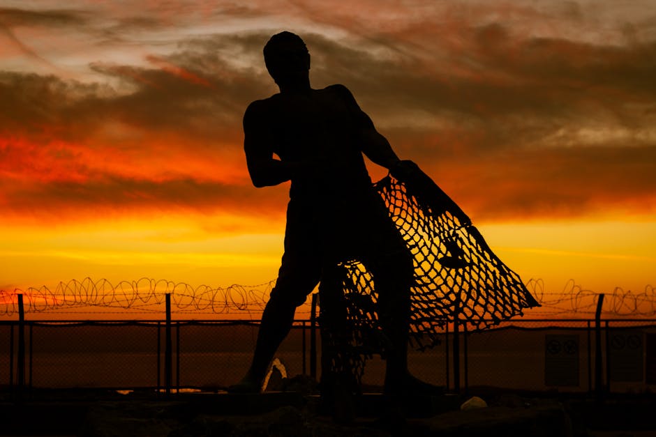 @dış mekan, adam, ağ içeren Ücretsiz stok fotoğraf