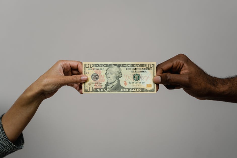 adam, alexander hamilton, anlaşma içeren Ücretsiz stok fotoğraf