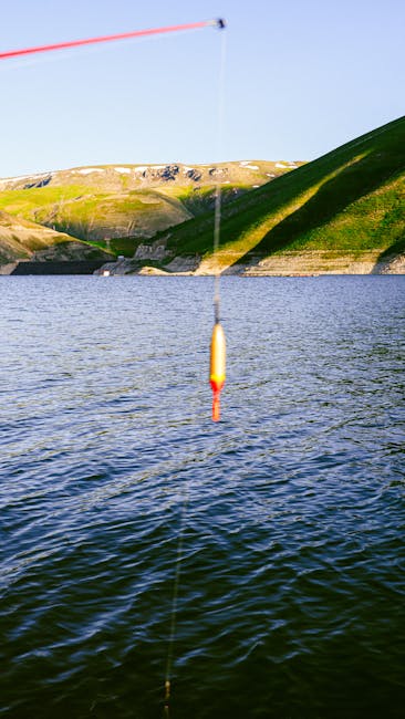 açık hava, açık hava etkinliği, açık-fotoğrafçılık içeren Ücretsiz stok fotoğraf
