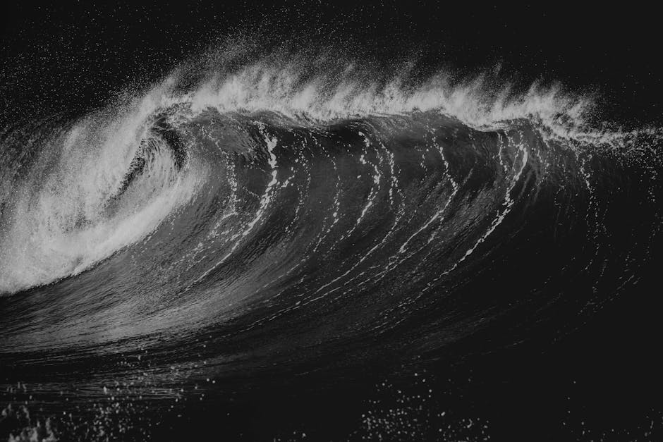 açık hava, akış, amblem içeren Ücretsiz stok fotoğraf