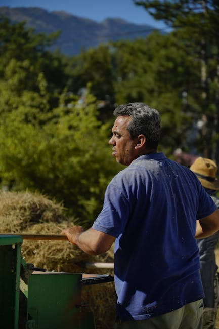 Türkiye'de bir çiftçi, yemyeşil doğa ve dağlar arasında açık havada saman işliyor; bu görüntü, tarım hayatını gözler önüne seriyor.