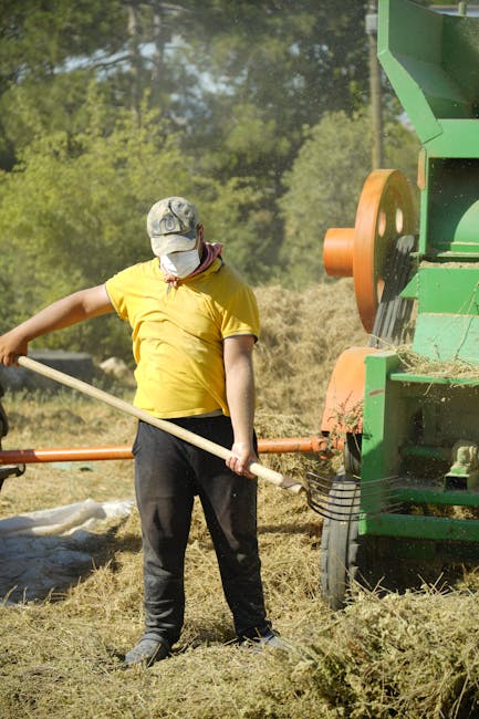 Türkiye kırsalında güneşli bir havada, bir adam saman yığınlarının arasında saman balyalama makinesini çalıştırıyor.