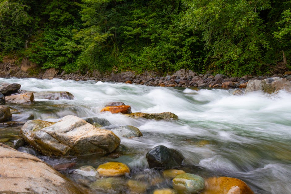 @dış mekan, ahşap, akarsu içeren Ücretsiz stok fotoğraf