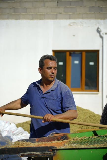 Türkiye'de bir çiftçi, güneş altında açık havada tarım aletleriyle ekinleri işliyor.