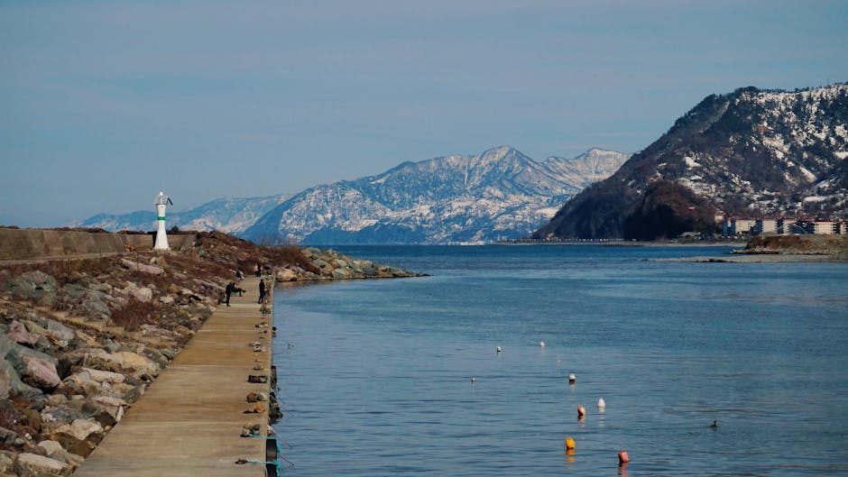 Türkiye'nin Karadeniz bölgesinde karla kaplı dağların arasında bir balıkçı iskelesinin sakin kış manzarası.