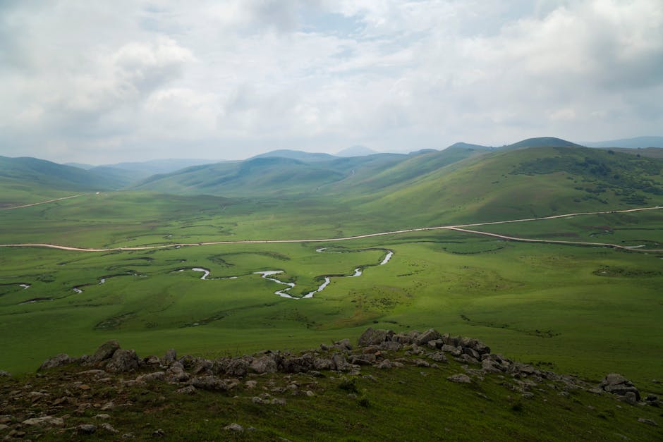 açık hava, alan, arazi içeren Ücretsiz stok fotoğraf