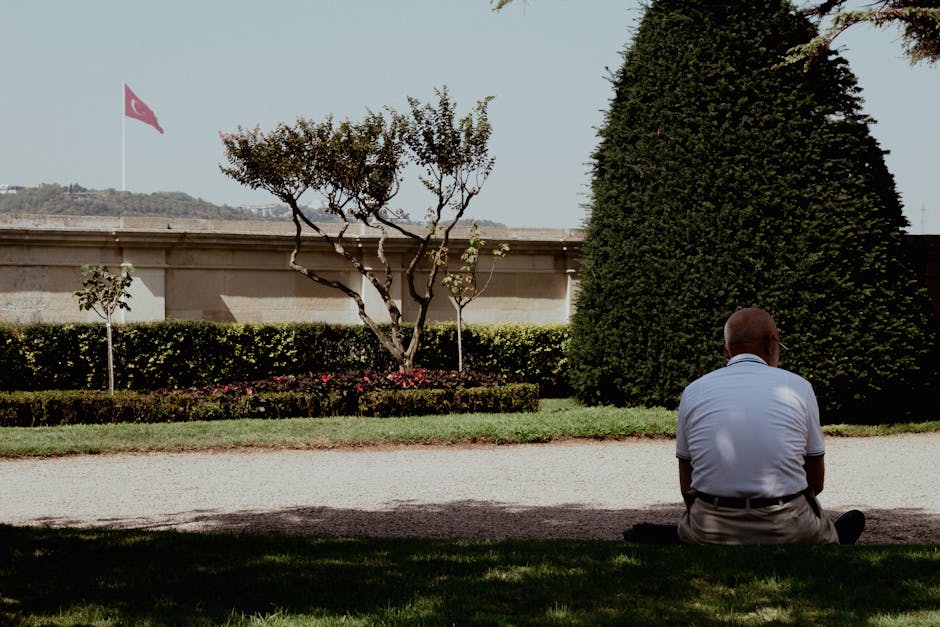 açık hava etkinliği, açık oturma, ağaçlar içeren Ücretsiz stok fotoğraf