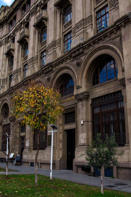 İstanbul'da tarihi bir binanın cephesinin sonbahar ağaçlarıyla detaylı görünümü.