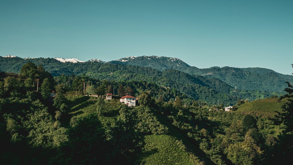 4k doğa, açık doğa, açık hava huzuru içeren Ücretsiz stok fotoğraf