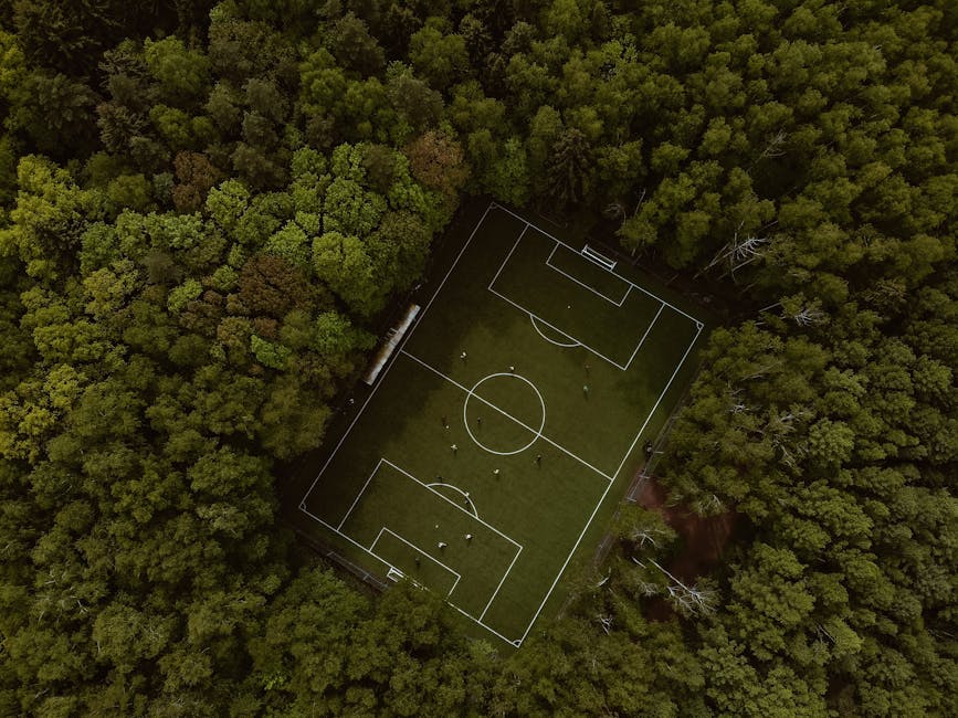 açık hava, açık hava etkinlikleri, ağaçlar içeren Ücretsiz stok fotoğraf