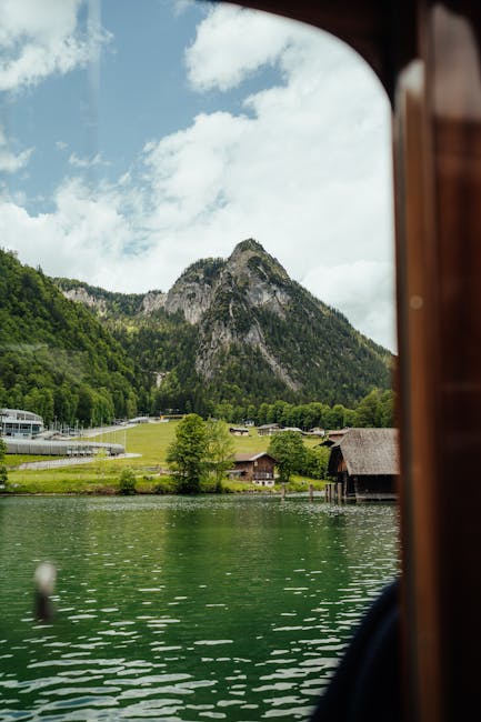 abstract, açık hava, ağaç içeren Ücretsiz stok fotoğraf