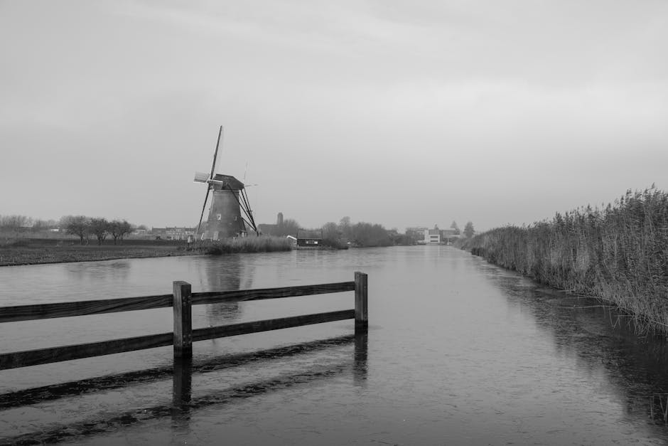 Avrupa, background, background image içeren Ücretsiz stok fotoğraf