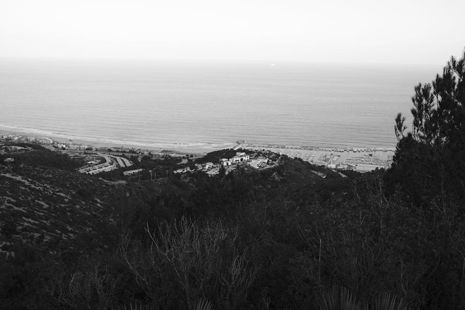 açık hava, ağaç, ağaçlık alan içeren Ücretsiz stok fotoğraf