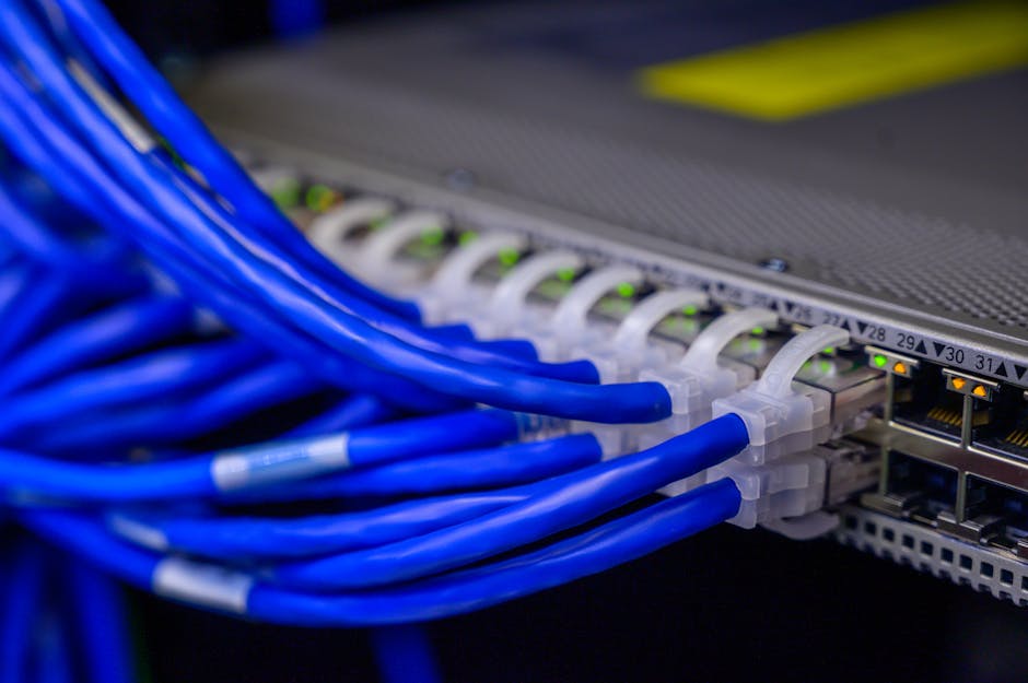 Ethernet Bağlantı Noktalarına Bağlı Kablolar