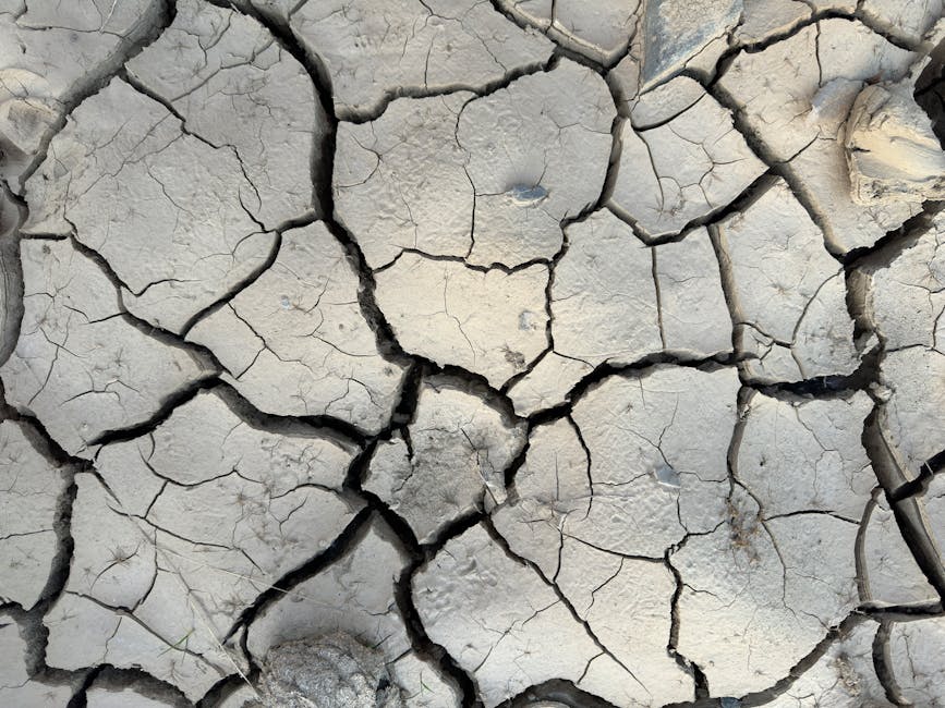 aşırı hava, boş arazi, çatlamış içeren Ücretsiz stok fotoğraf