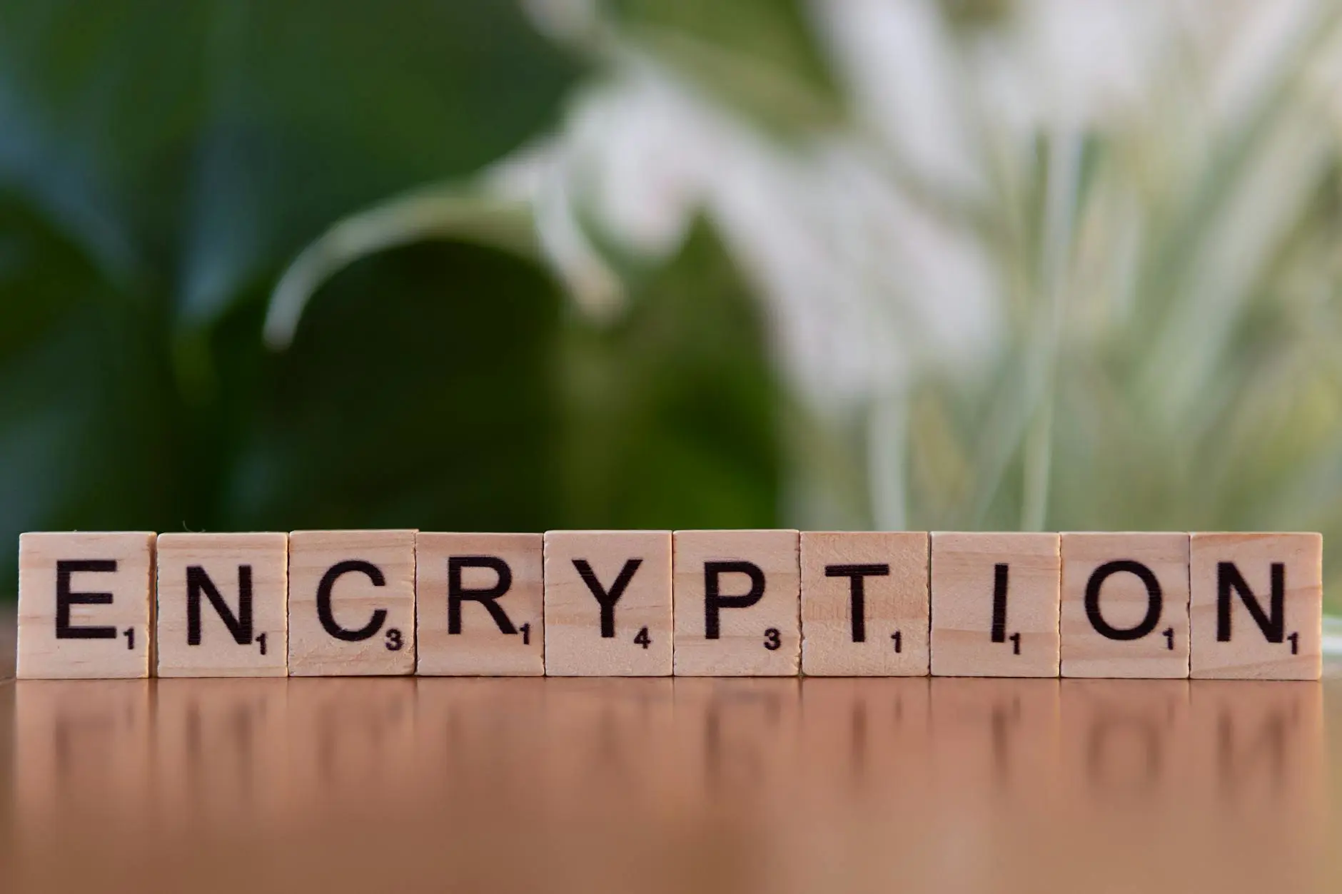 Wooden blocks spelling encryption symbolizing end-to-end encryption concept