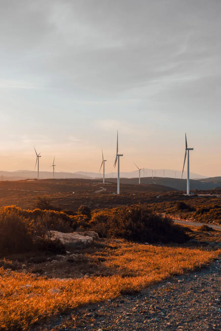 Green IT and sustainable software development