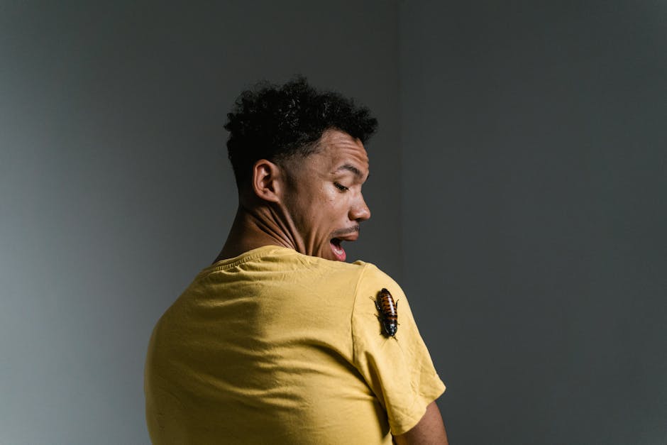 #kapalı, acı çekmek, adam içeren Ücretsiz stok fotoğraf