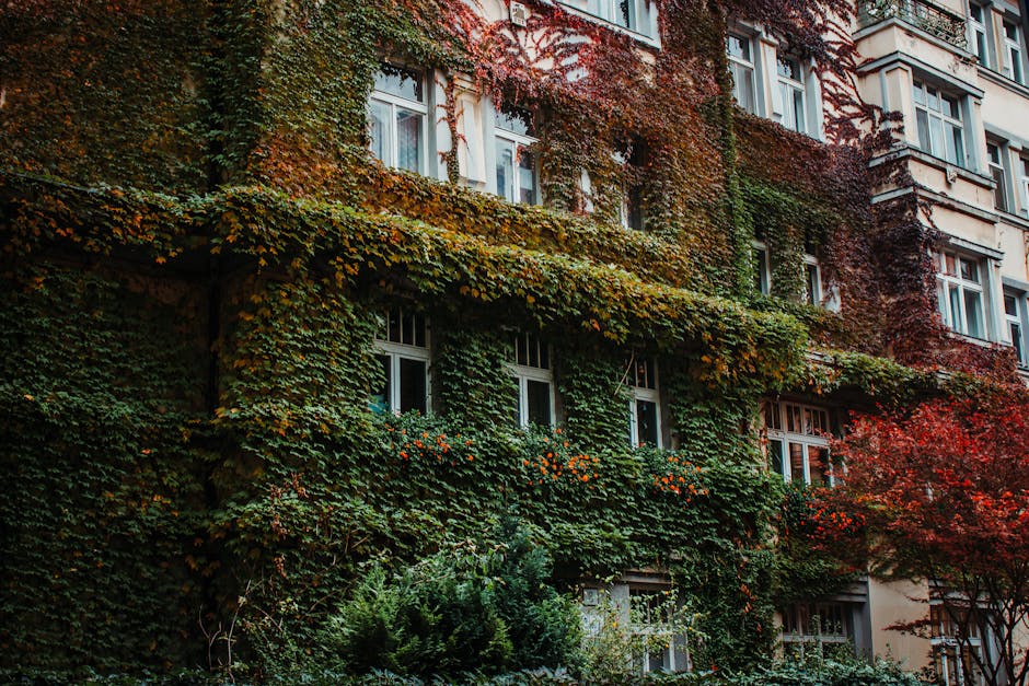 architecture, bereket, bina içeren Ücretsiz stok fotoğraf