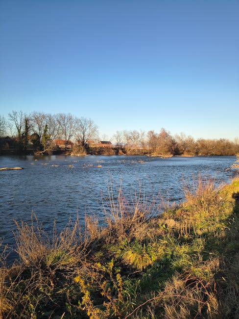Masmavi gökyüzünün altında, sonbaharın muhteşem manzarası eşliğinde sakin bir nehir akıyor.