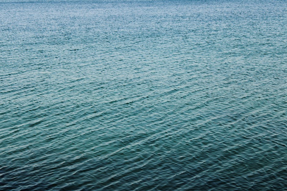 Sakin ve huzurlu bir okyanus yüzeyinin yumuşak dalgalarla dolu dingin görüntüsü, huzur ve sükunet duygusunu yakalıyor.