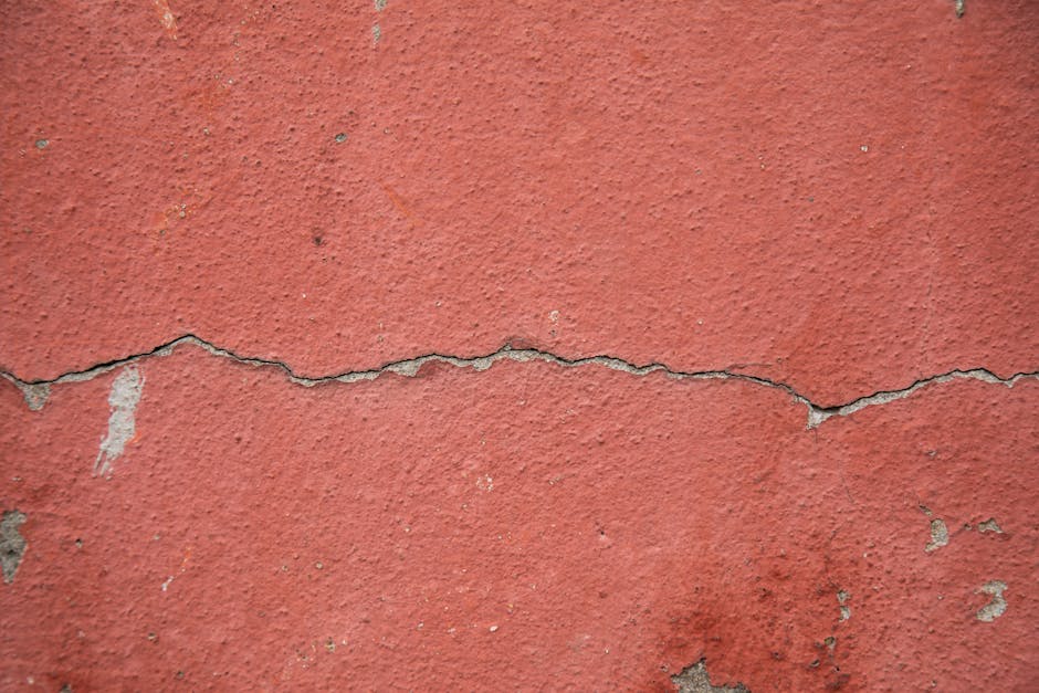 @dış mekan, arka fon, beton içeren Ücretsiz stok fotoğraf