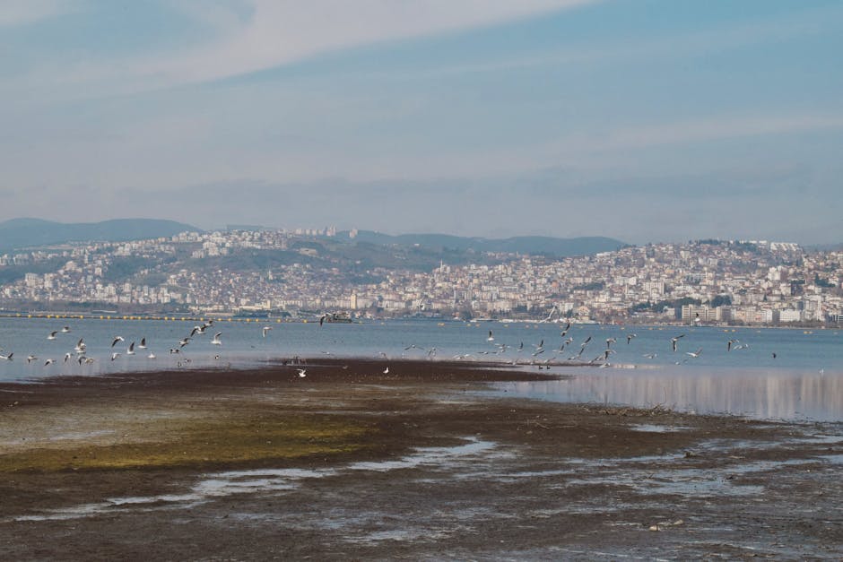 açık hava, Akdeniz, Asya içeren Ücretsiz stok fotoğraf