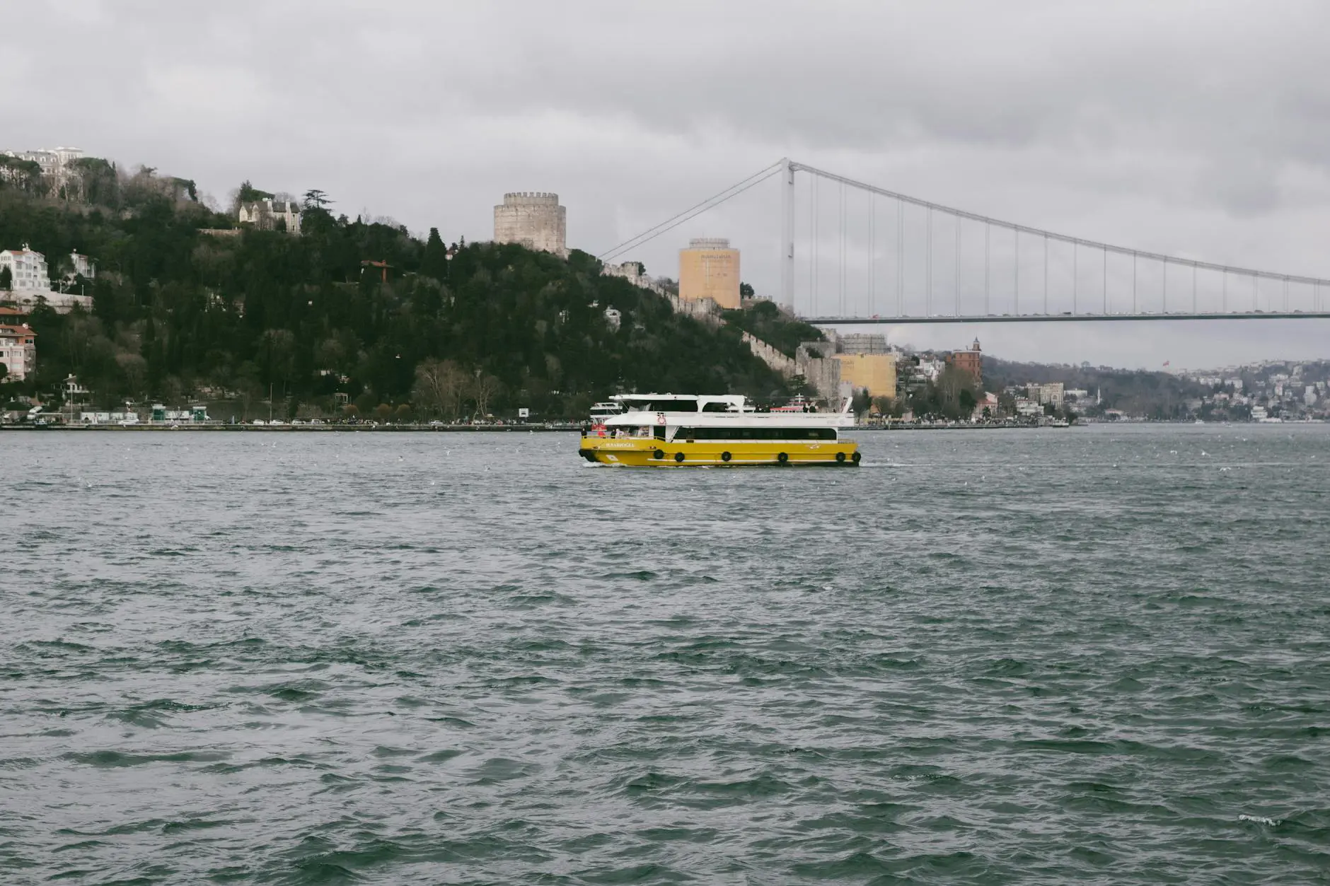 Open source community and collaboration